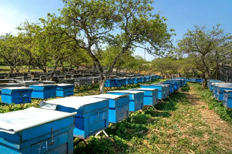 体脂秤与脂肪秤测量原理差异解析：家用人体秤选购技术参考